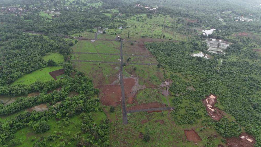 Actual Site View