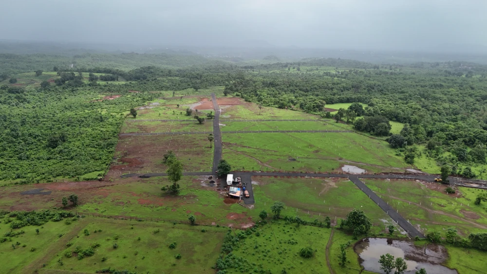 Actual Site View