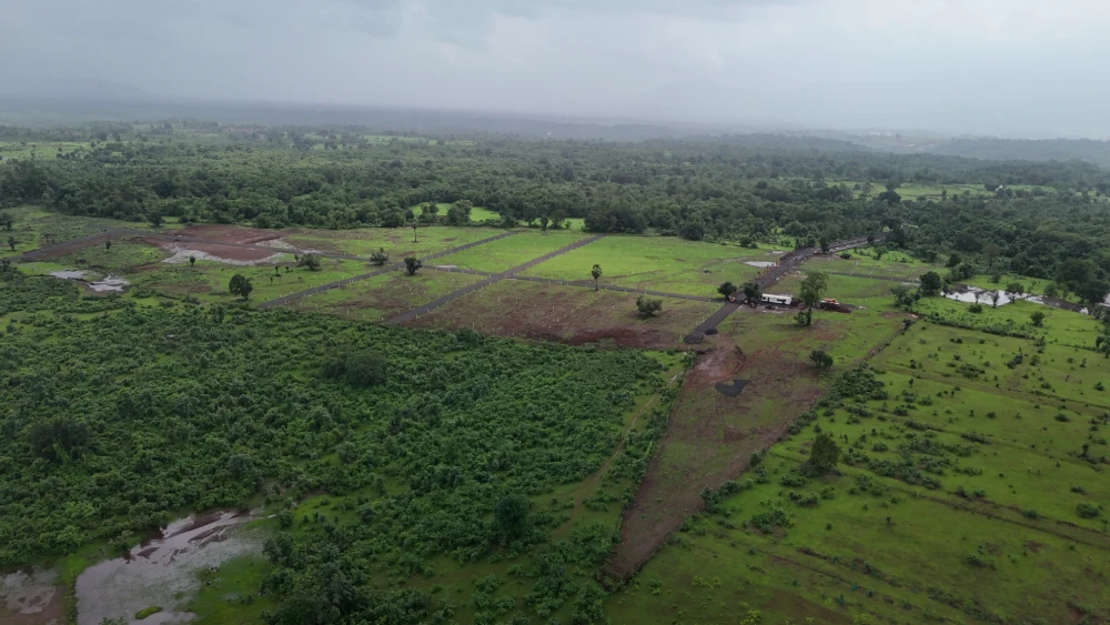 Actual Site View