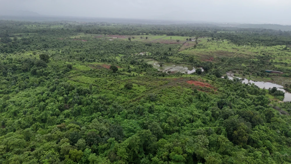Actual Site View