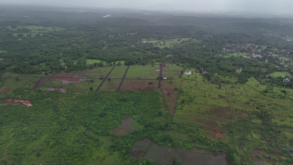 Actual Site View